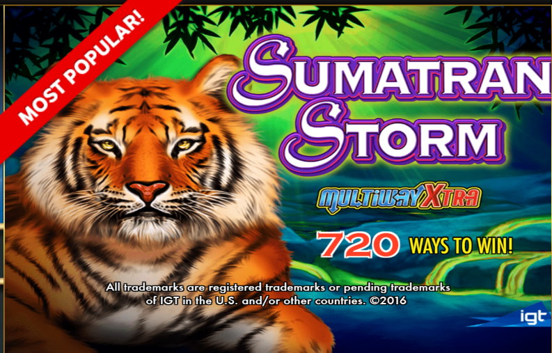 Sumatran Storm Free Play Slots Game