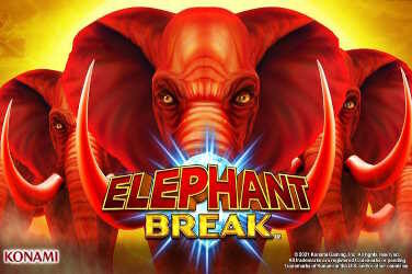 Elephant Break