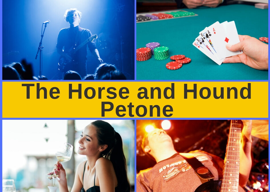 Horse & Hound Petone – Menu, Bar and Pokies Gaming Lounge Guide